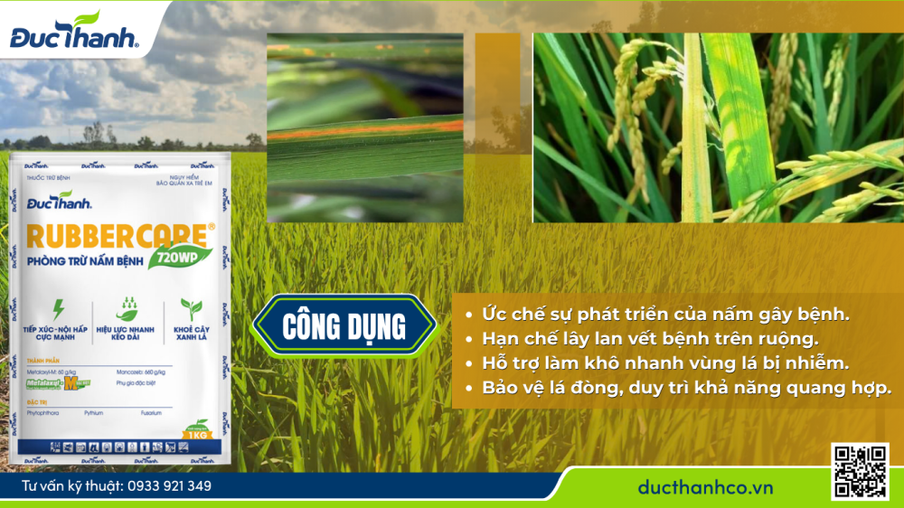 Hình 3. Rubbercare 720WP – Quản lý nấm gây bệnh vàng lá chín sớm.