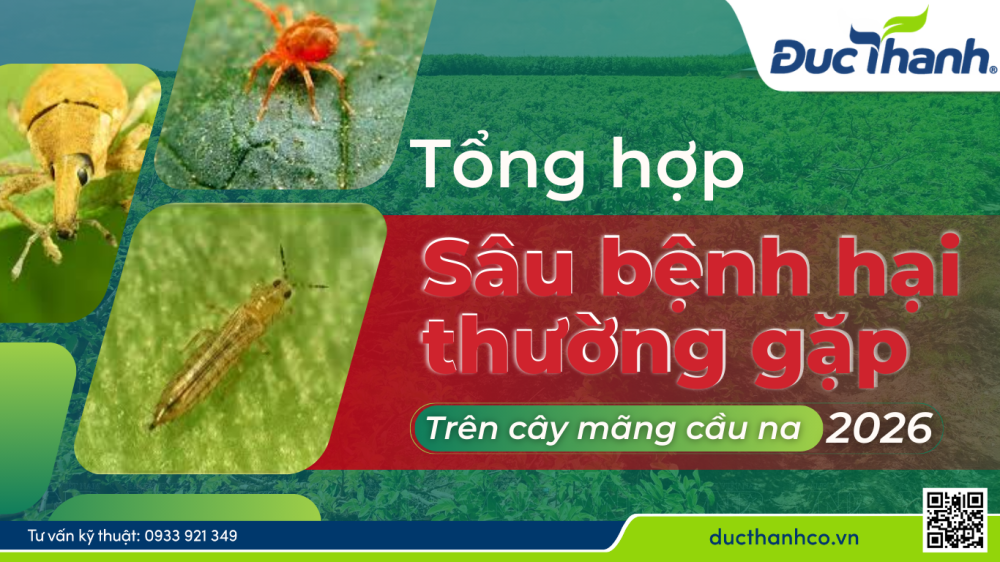 sâu bệnh hại trên cây mãng cầu na