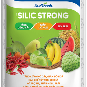 Phân bón lá DT BoBo - Silic Strong