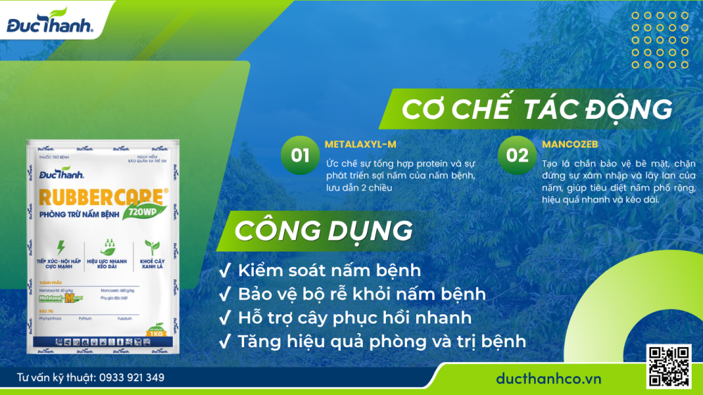 Hình 2. Upper 400SC – Kiểm soát mạnh nấm bệnh trên thân, lá và trái