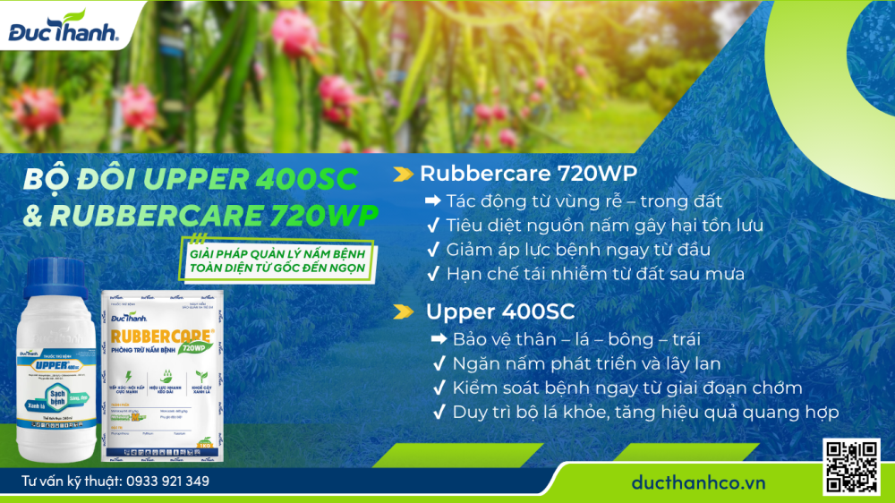 Hình 3. Giải pháp đúng bản chất: “2 lớp bảo vệ” từ Đức Thành