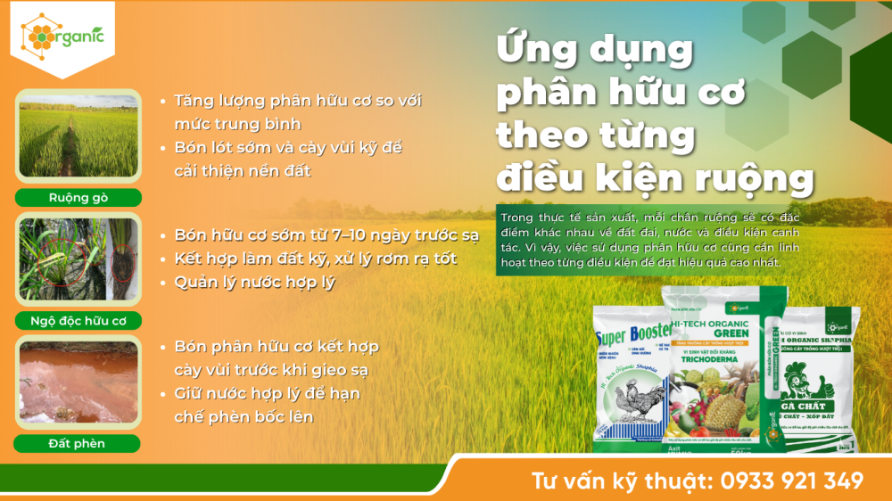 Hình 4. Ứng dụng phân hữu cơ theo từng điều kiện ruộng