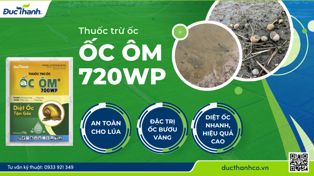 Hình 4. Quản lý ốc bươu vàng – cắt đứt vòng đời sinh sản với Ốc Ôm 720WP