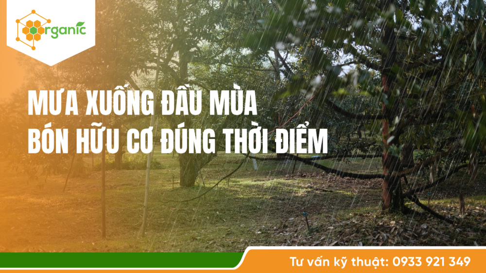 phân bón hữu cơ high-tech organic