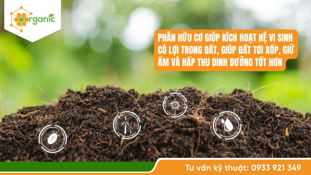 phân bón hữu cơ high-tech organic