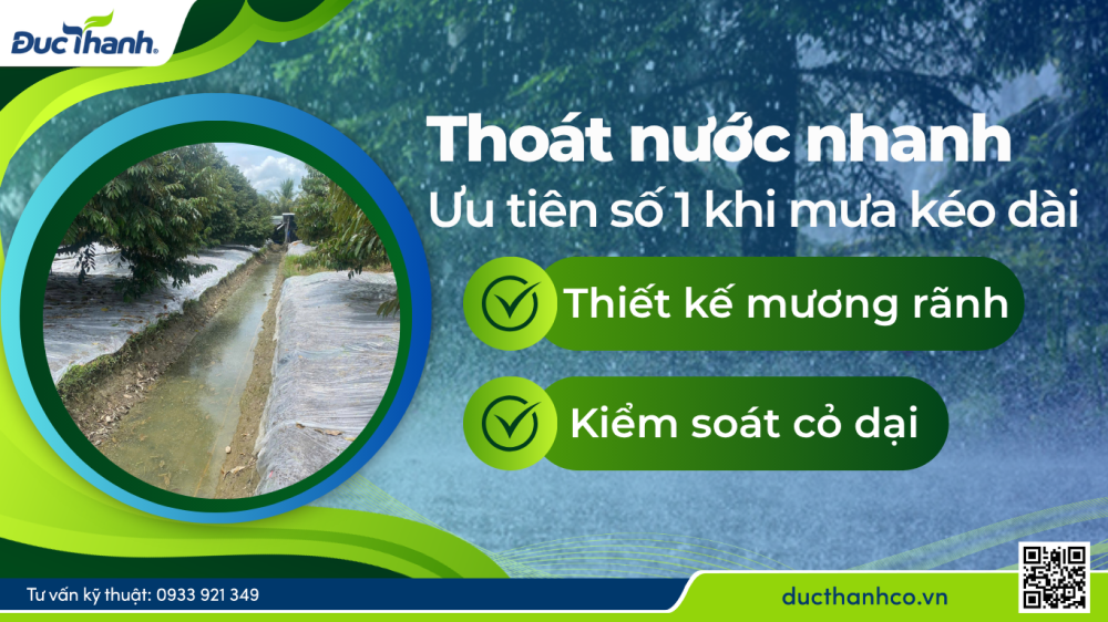 Hình 1. Thoát nước nhanh – Ưu tiên số 1 khi mưa kéo dài