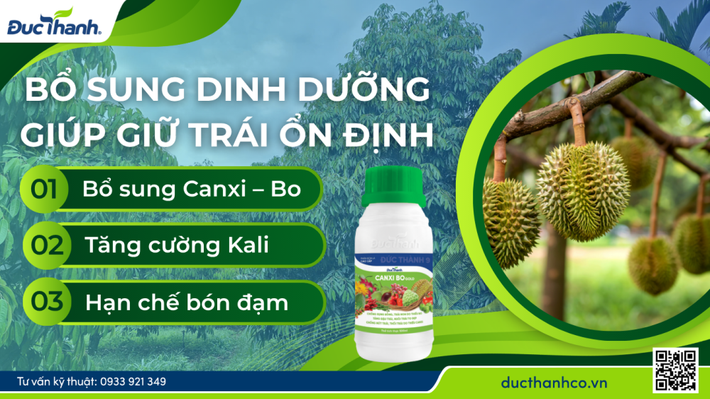 Hình 3. Bổ sung dinh dưỡng giúp giữ trái ổn định