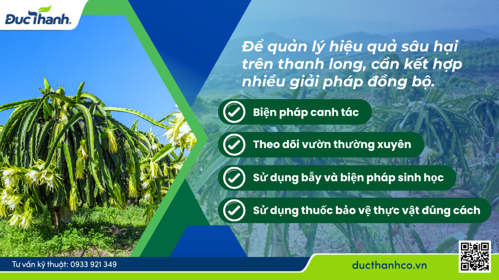 Hình 5. Biện pháp quản lý côn trùng gây hại trên thanh long
