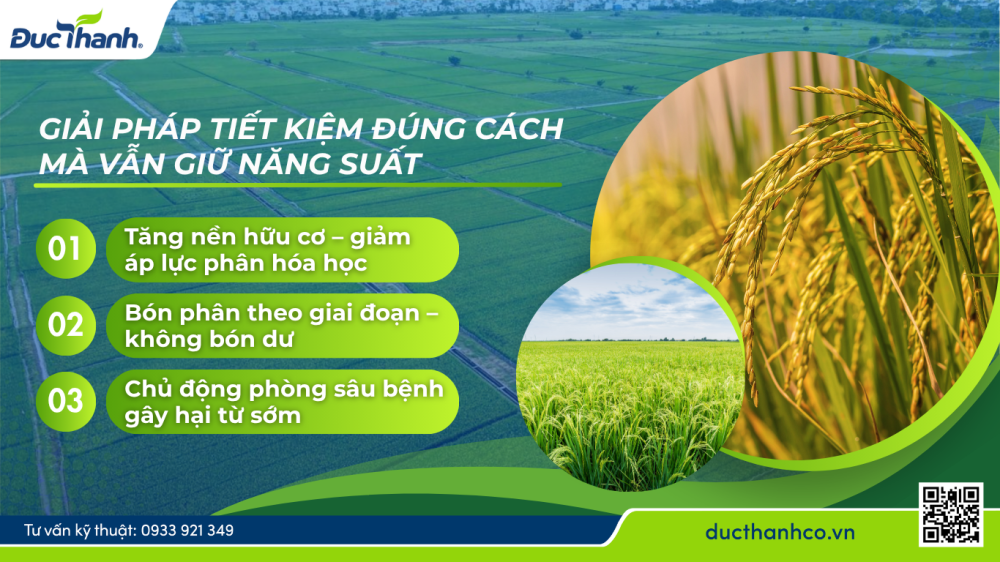 Hình 3. Giải pháp tiết kiệm đúng cách mà vẫn giữ năng suất