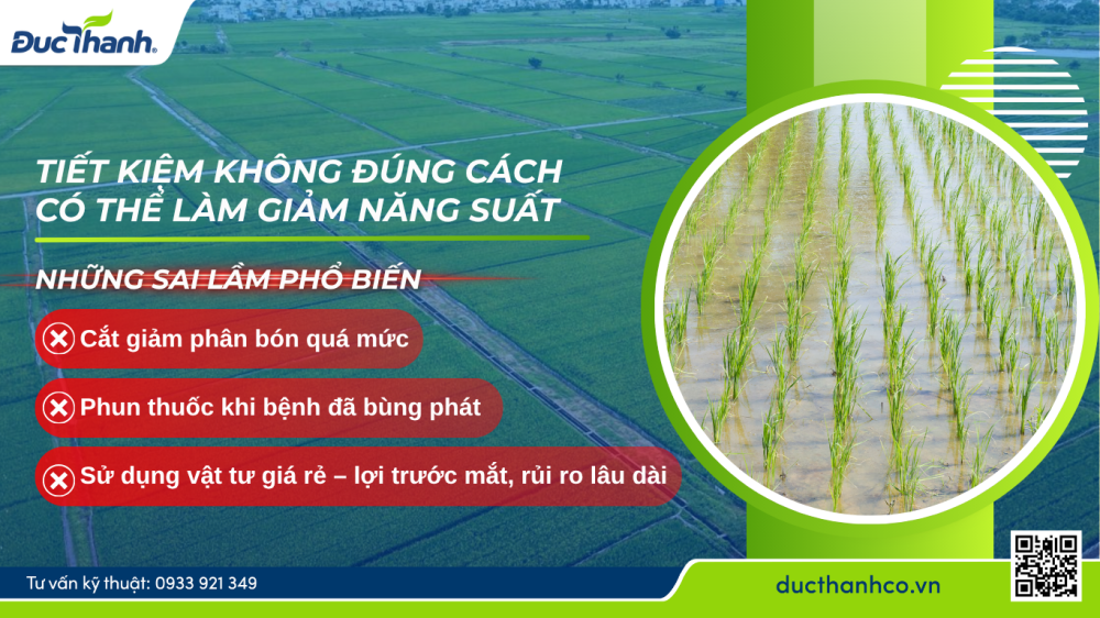 Hình 2. Tiết kiệm không đúng cách có thể làm giảm năng suất