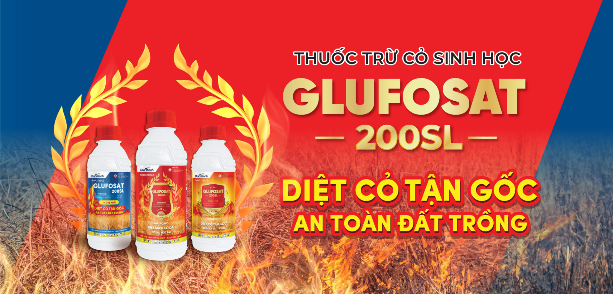 thuốc cỏ glufosat